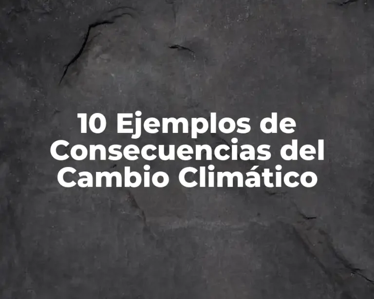 10 Ejemplos de Consecuencias del Cambio Climático