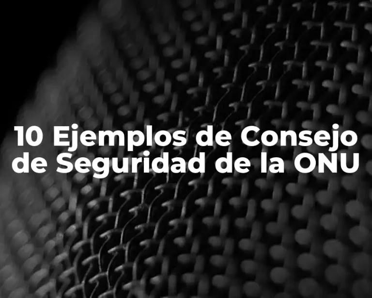10 Ejemplos de Consejo de Seguridad de la ONU