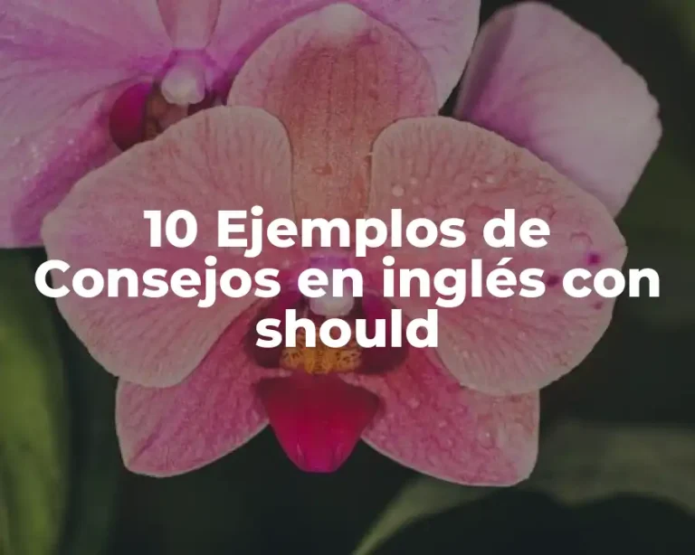 10 Ejemplos de Consejos en inglés con should