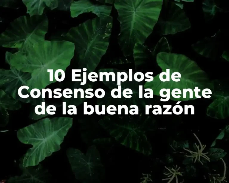 10 Ejemplos de Consenso de la gente de la buena razón