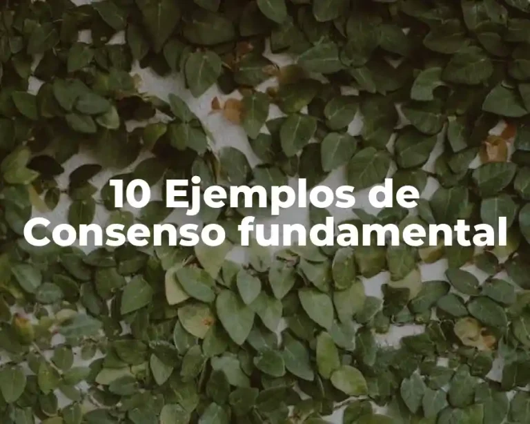 10 Ejemplos de Consenso fundamental
