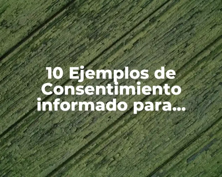10 Ejemplos de Consentimiento informado para investigación de enfermería