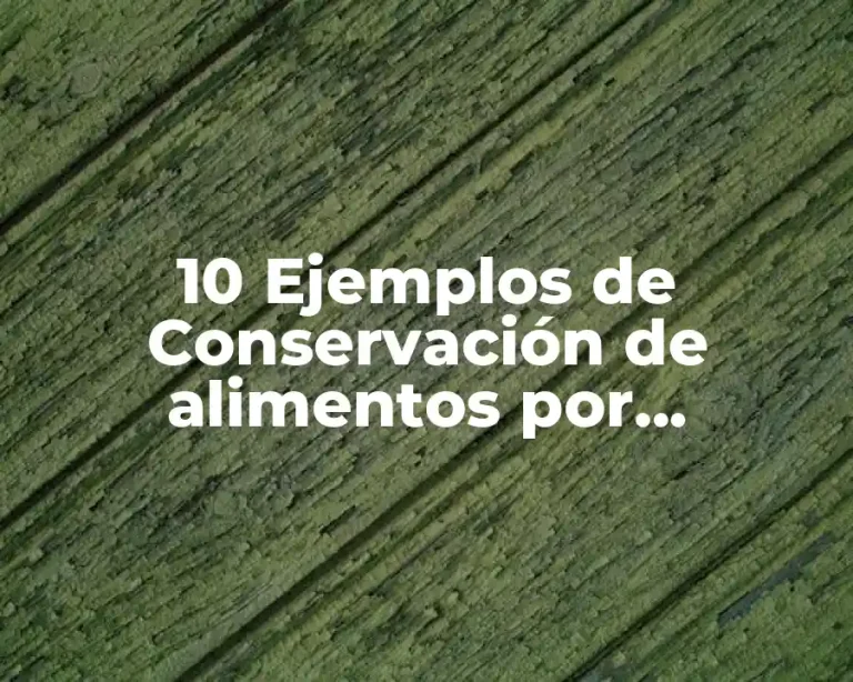 10 Ejemplos de Conservación de alimentos por congelación