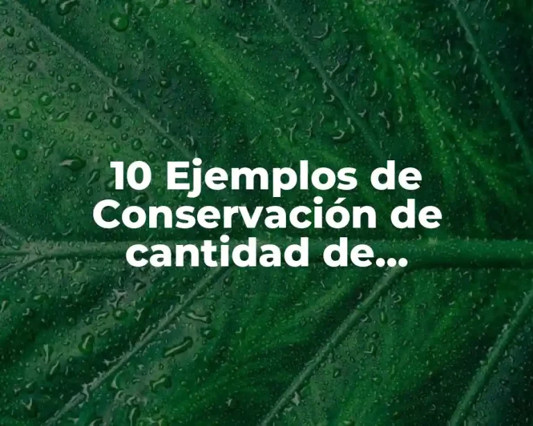 10 Ejemplos de Conservación de cantidad de movimiento