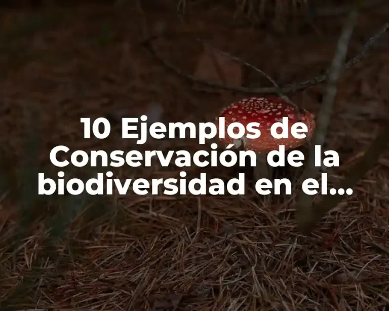 10 Ejemplos de Conservación de la biodiversidad en el mundo