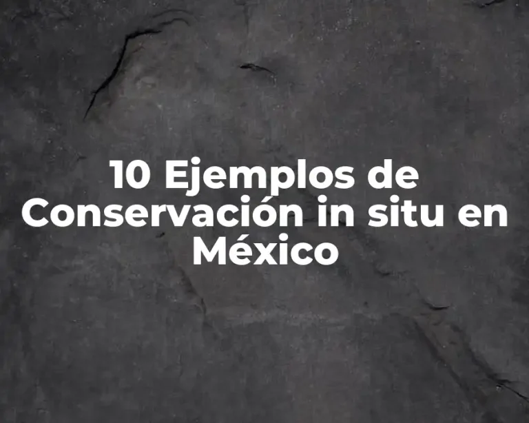 10 Ejemplos de Conservación in situ en México