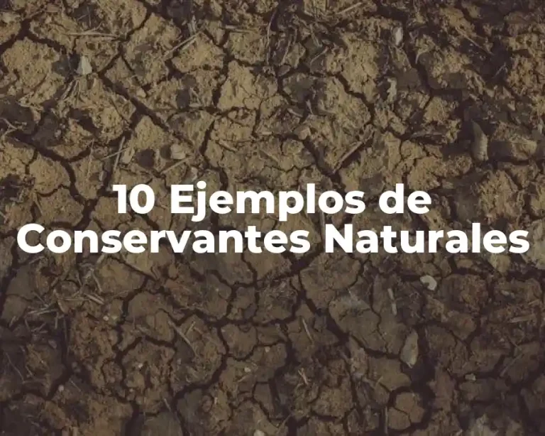 10 Ejemplos de Conservantes Naturales
