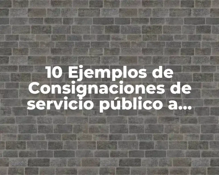 10 Ejemplos de Consignaciones de servicio público a particulares