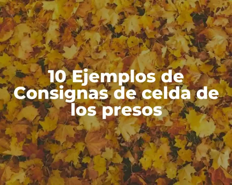 10 Ejemplos de Consignas de celda de los presos