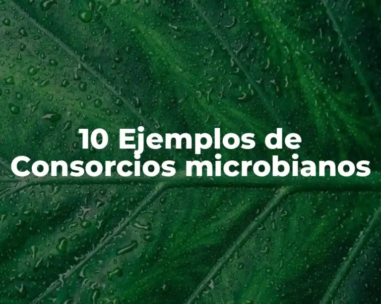 10 Ejemplos de Consorcios microbianos