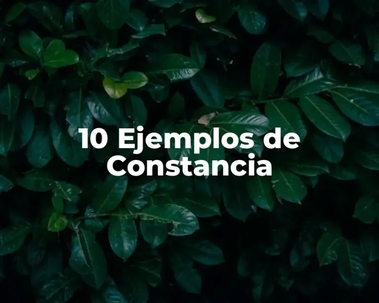 10 Ejemplos de Constancia