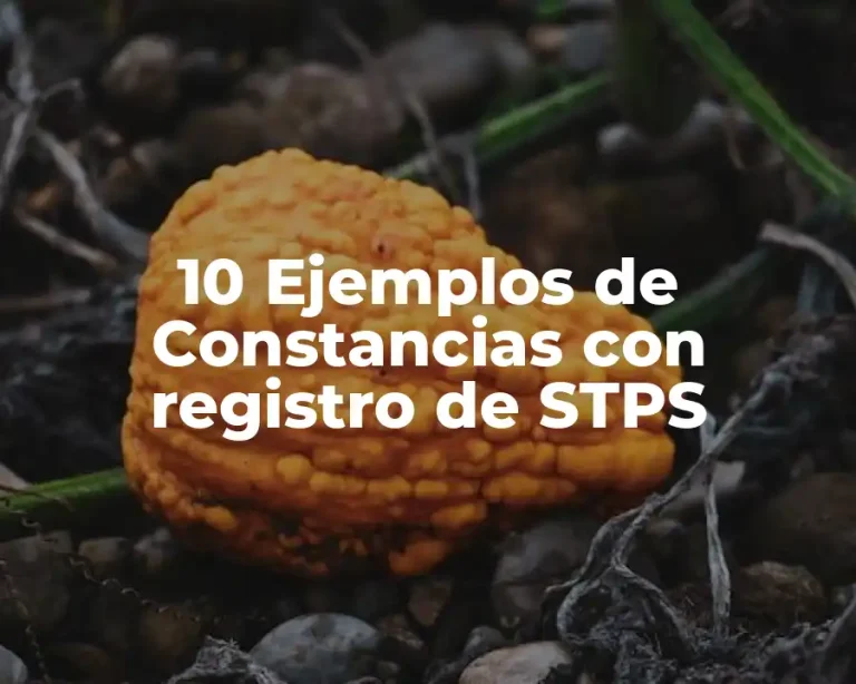 10 Ejemplos de Constancias con registro de STPS
