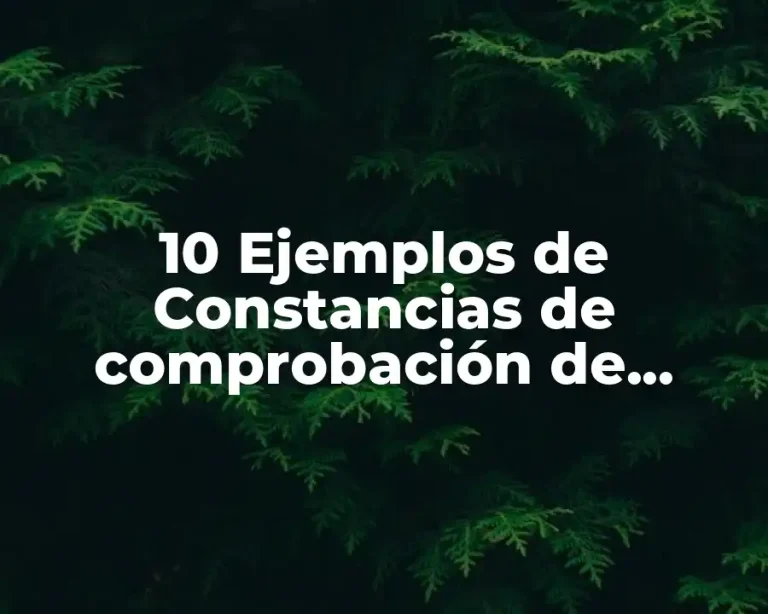 10 Ejemplos de Constancias de comprobación de gastos