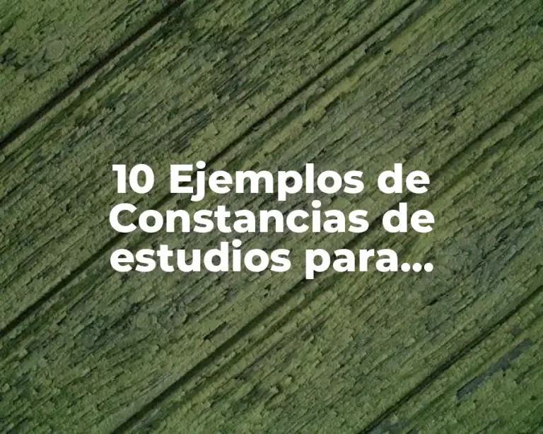 10 Ejemplos de Constancias de estudios para preescolar