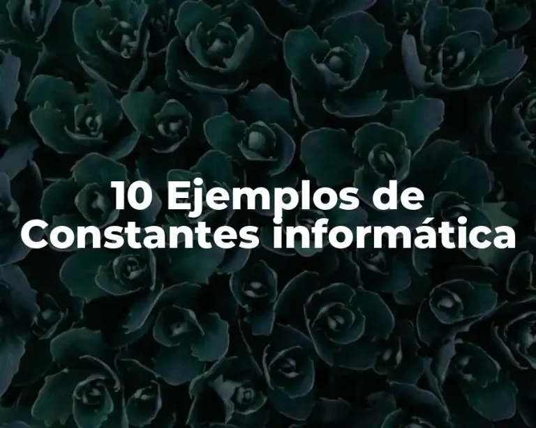 10 Ejemplos de Constantes informática