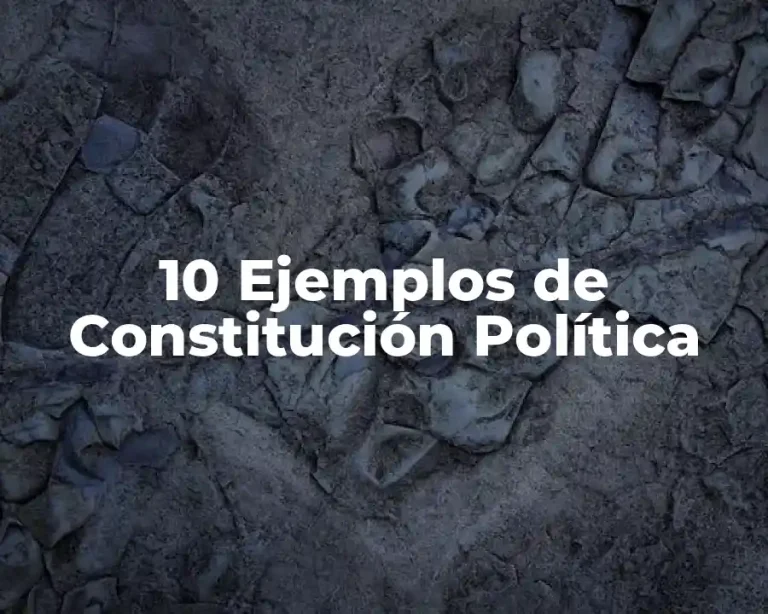10 Ejemplos de Constitución Política