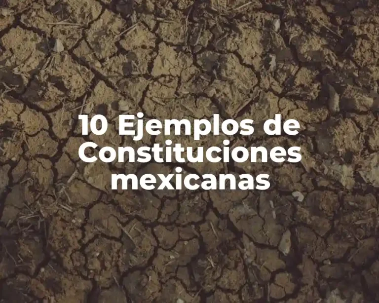 10 Ejemplos de Constituciones mexicanas