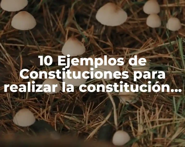10 Ejemplos de Constituciones para realizar la constitución en 1824