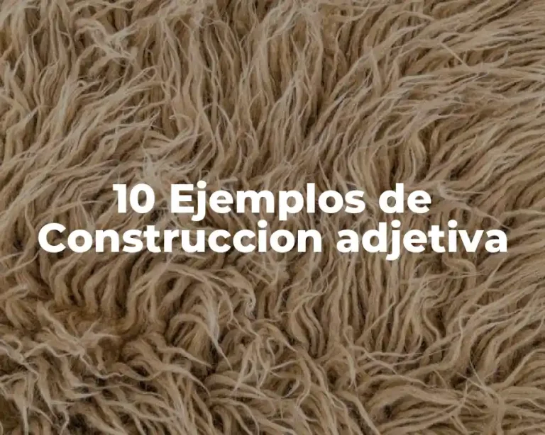 10 Ejemplos de Construccion adjetiva