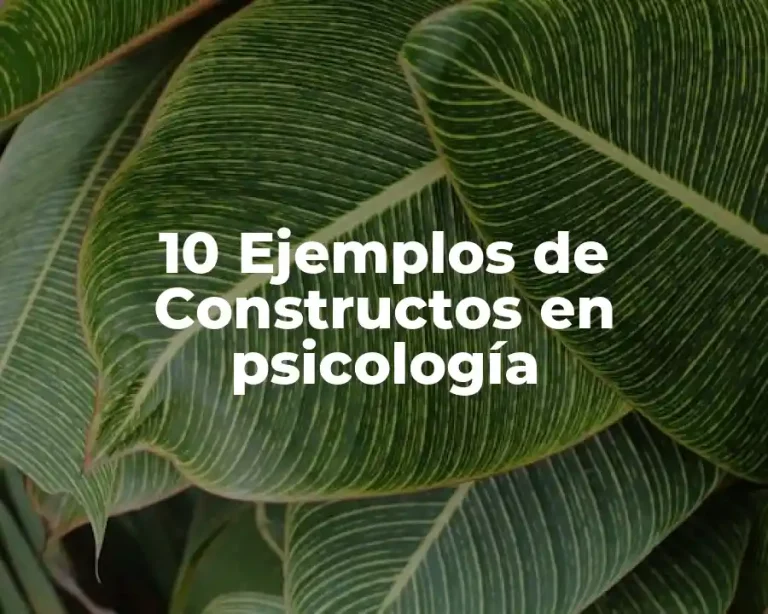 10 Ejemplos de Constructos en psicología