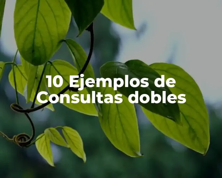 10 Ejemplos de Consultas dobles