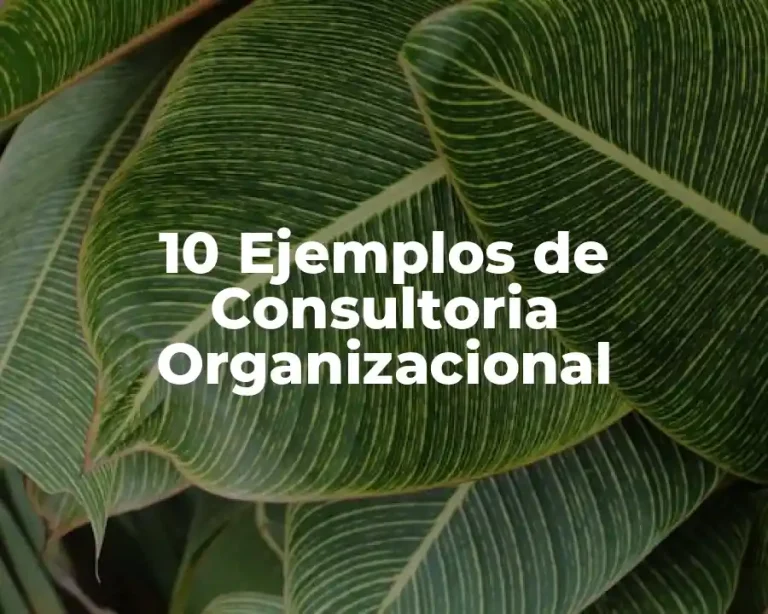 10 Ejemplos de Consultoria Organizacional
