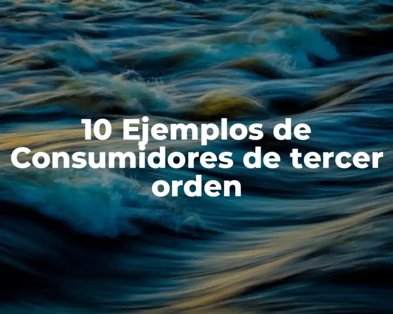 10 Ejemplos de Consumidores de tercer orden