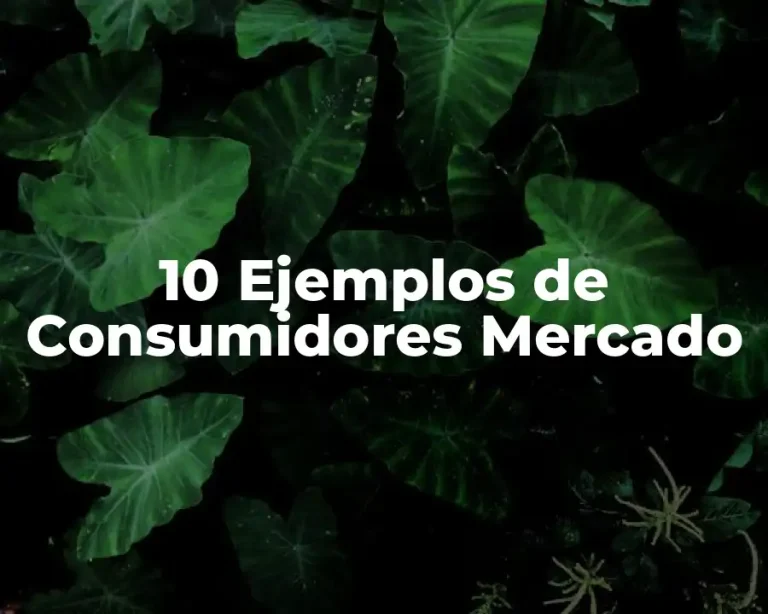 10 Ejemplos de Consumidores Mercado