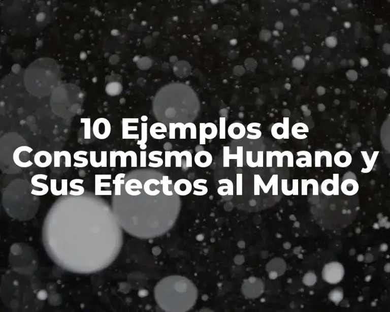 10 Ejemplos de Consumismo Humano y Sus Efectos al Mundo