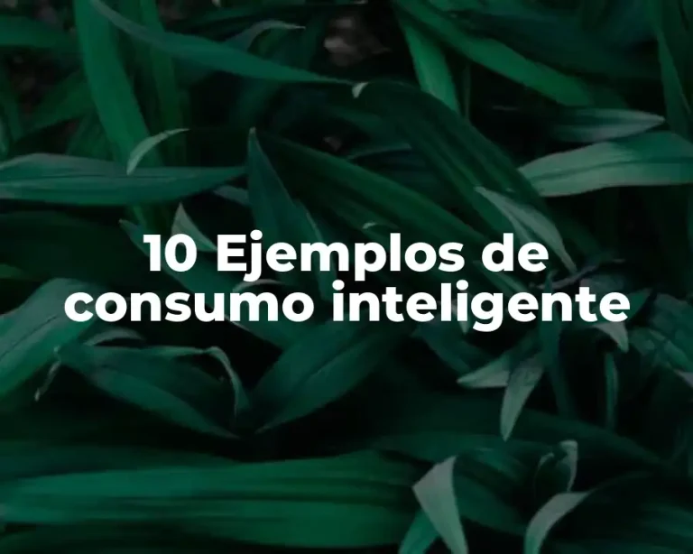 10 Ejemplos de consumo inteligente