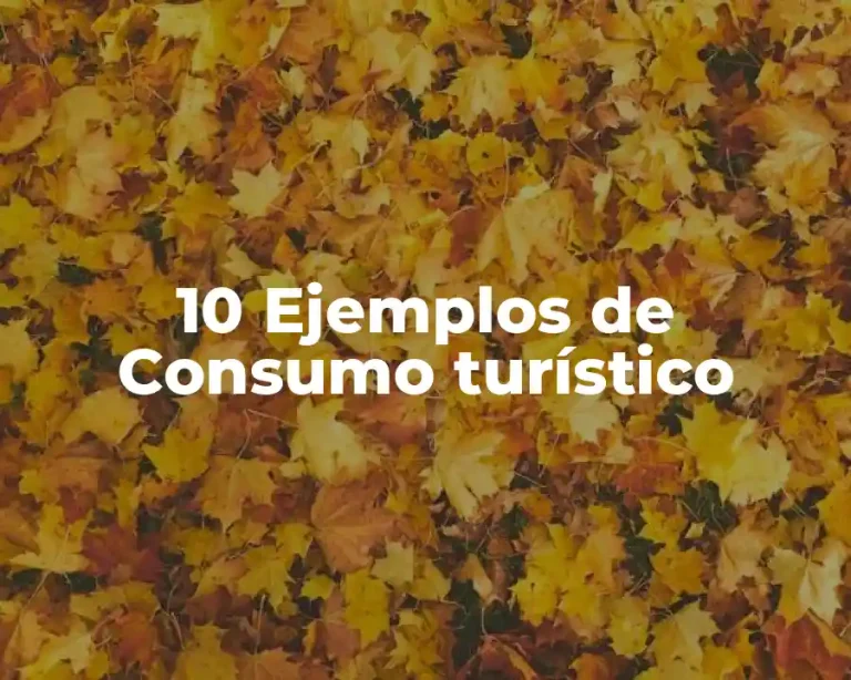 10 Ejemplos de Consumo turístico