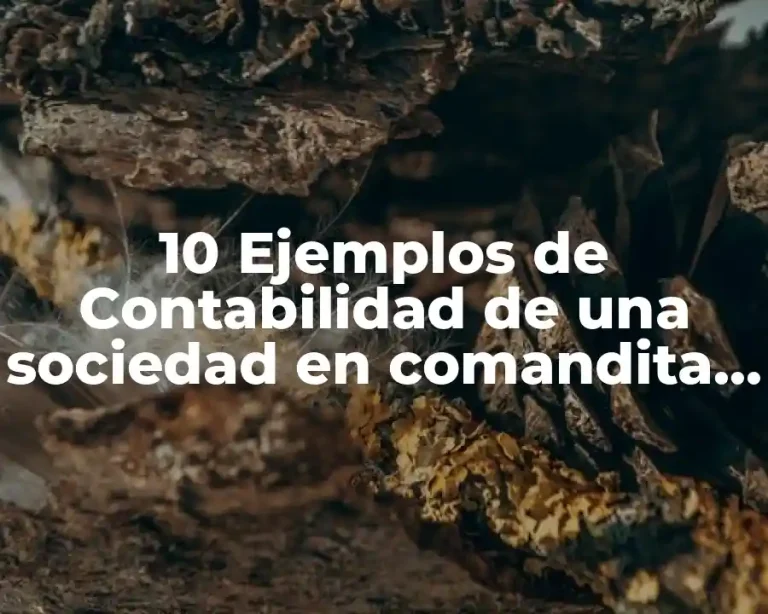 10 Ejemplos de Contabilidad de una sociedad en comandita simple