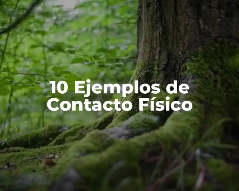 10 Ejemplos de Contacto Físico