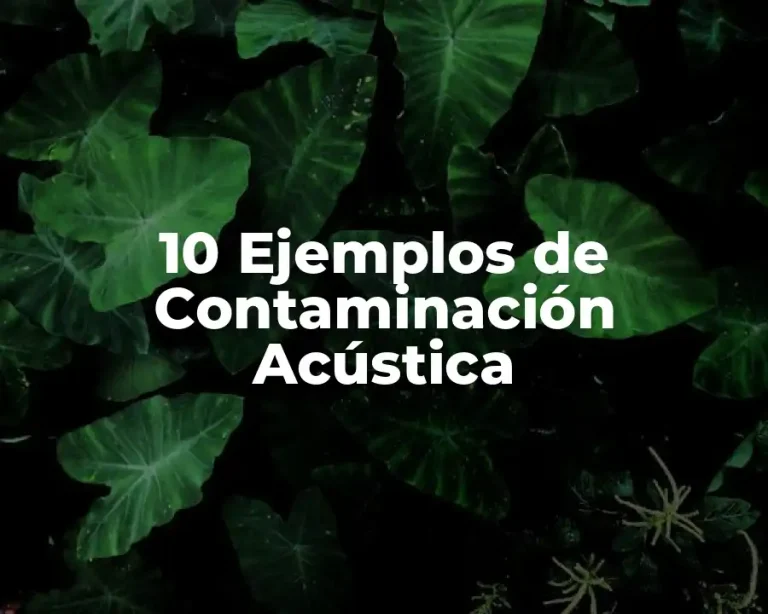10 Ejemplos de Contaminación Acústica