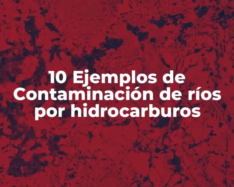 10 Ejemplos de Contaminación de ríos por hidrocarburos