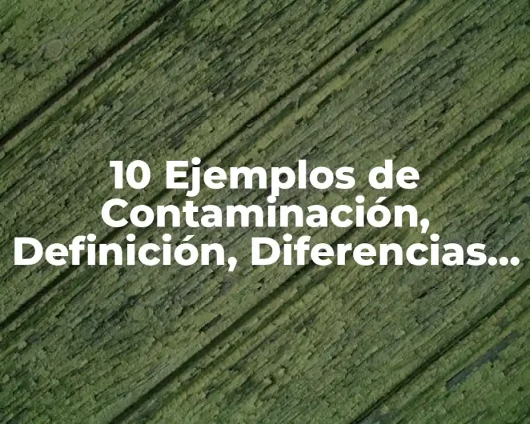 10 Ejemplos de Contaminación, Definición, Diferencias y para que sirve