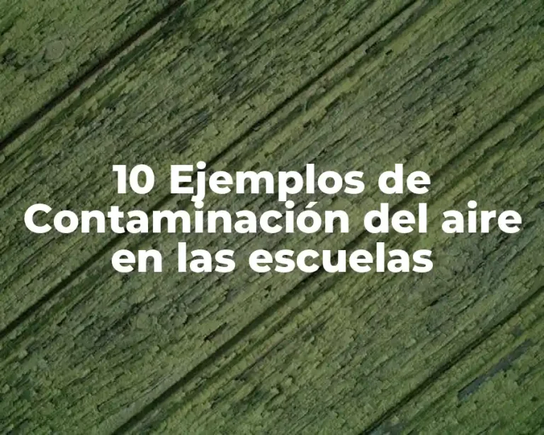 10 Ejemplos de Contaminación del aire en las escuelas