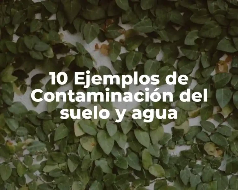 10 Ejemplos de Contaminación del suelo y agua