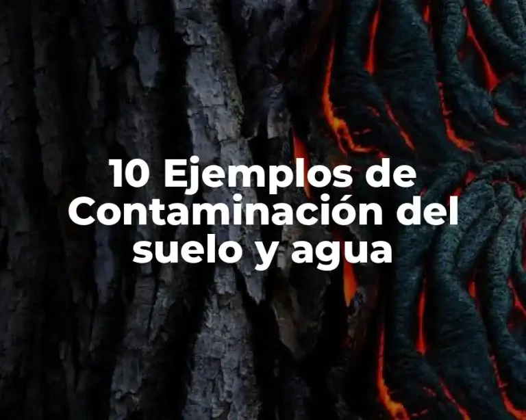 10 Ejemplos de Contaminación del suelo y agua