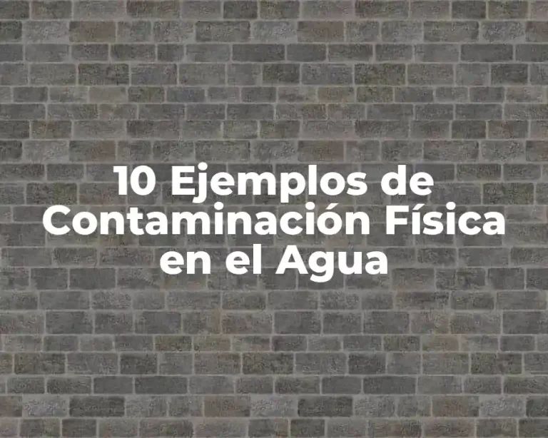 10 Ejemplos de Contaminación Física en el Agua