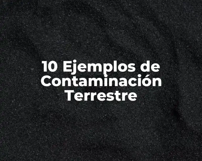 10 Ejemplos de Contaminación Terrestre