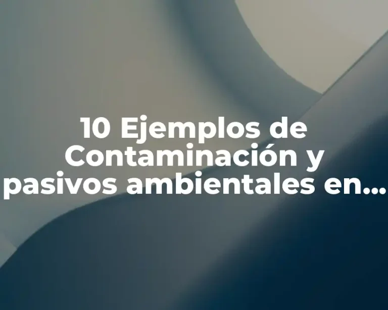 10 Ejemplos de Contaminación y pasivos ambientales en Yucatán (CPAY)