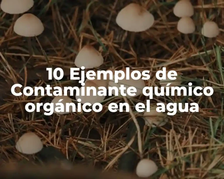 10 Ejemplos de Contaminante químico orgánico en el agua