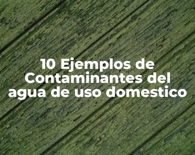 10 Ejemplos de Contaminantes del agua de uso domestico
