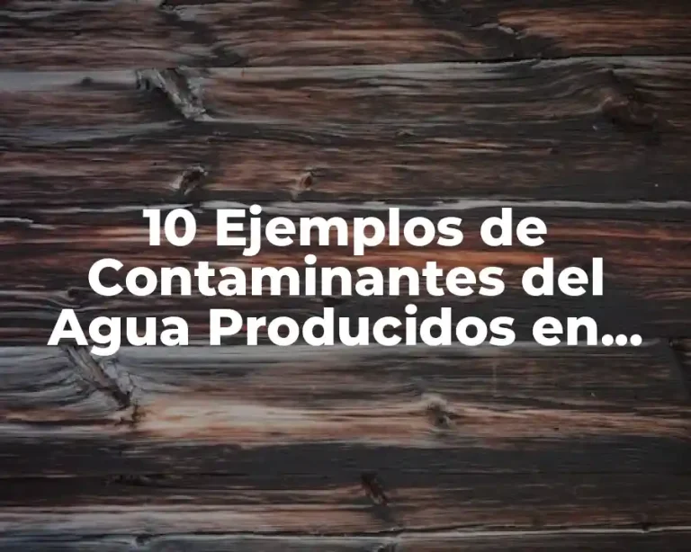 10 Ejemplos de Contaminantes del Agua Producidos en Casa