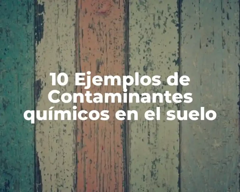 10 Ejemplos de Contaminantes químicos en el suelo