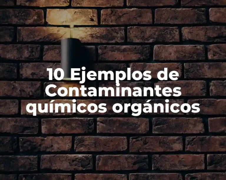 10 Ejemplos de Contaminantes químicos orgánicos