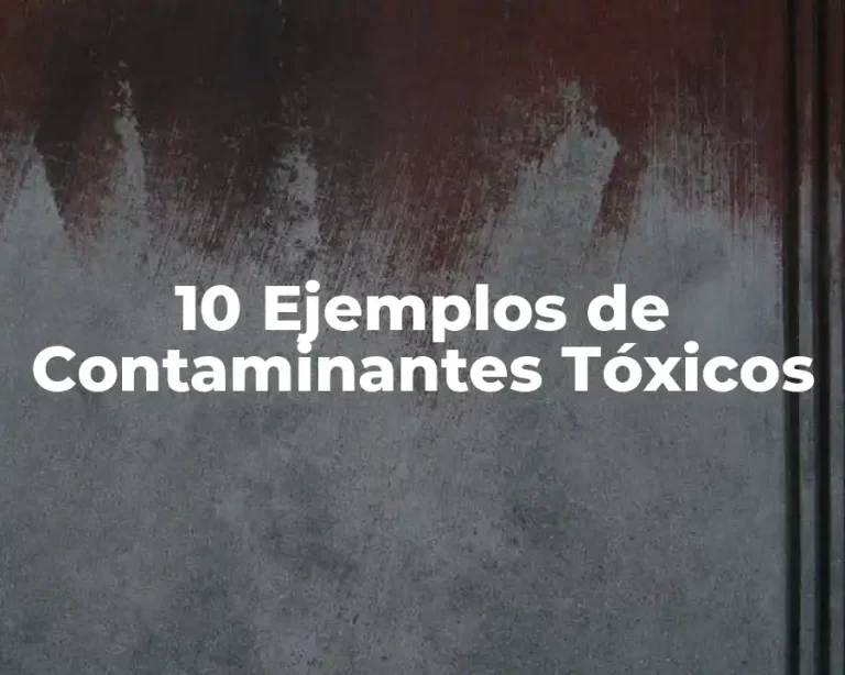 10 Ejemplos de Contaminantes Tóxicos