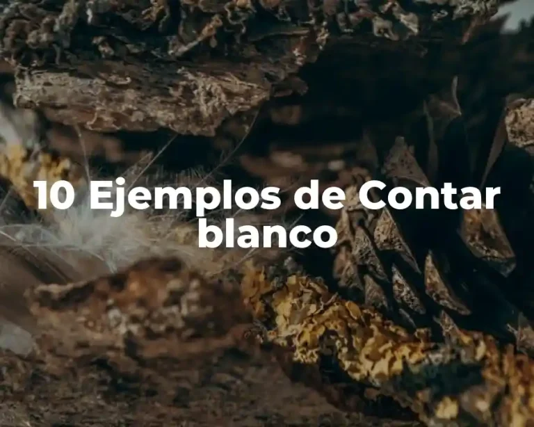 10 Ejemplos de Contar blanco