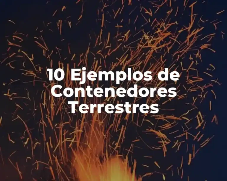 10 Ejemplos de Contenedores Terrestres